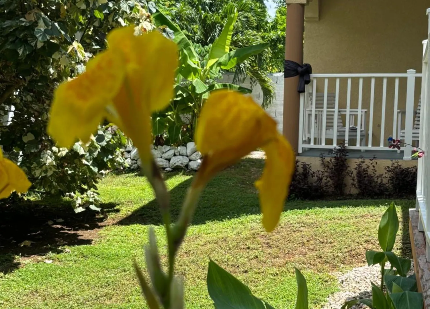 Sommerville Resorts Negril